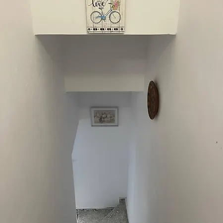 Casa Blue