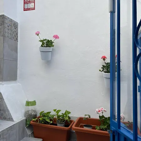 Casa Blue